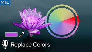 Replace Colors | Corel Photo-Paint For Mac