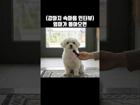 혼자 남겨진 강아지에게 엄마가 오면 뭐하고 싶냐고 물었다