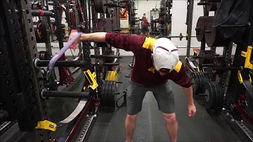 Torso Parallel Rear Delt Top Position Pronated OCI Oscillatory Isometrics Triphasic Training