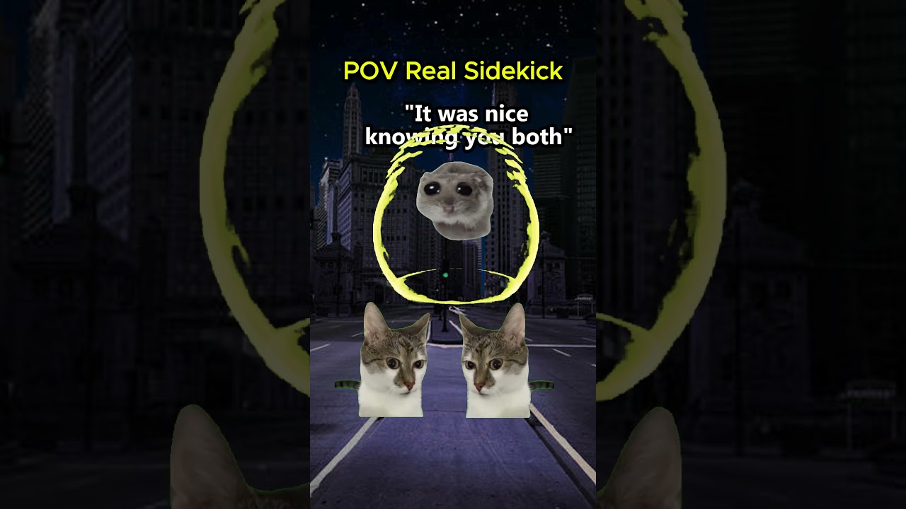 CAT MEMES 😺 Random Superpower ... 