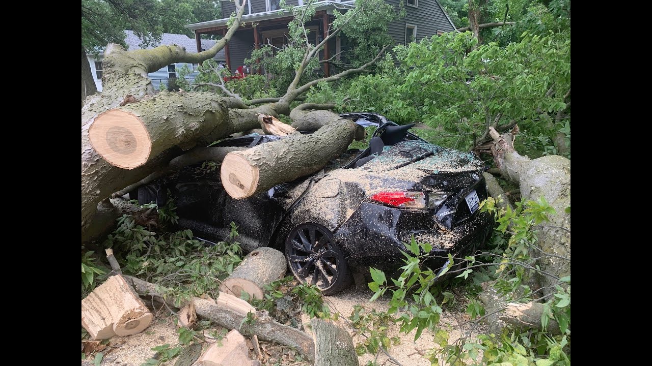 Trees Fall On Homes & Cars In Illinois Storm - YouTube
