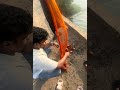Catching fish 🐟 #fishing #wildlife #viral