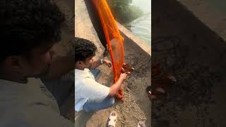 Catching fish 🐟 #fishing #wildlife #viral