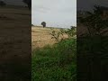 ٢٧ يوليو ٢٠٢٠ 1