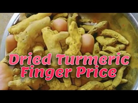 Dried Turmeric Finger Latest Price | Wholesale Price Turmeric