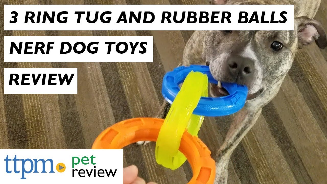 nerf dog tug toy