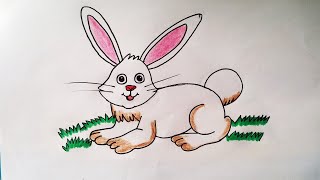 simple rabbit easy drawing beginners