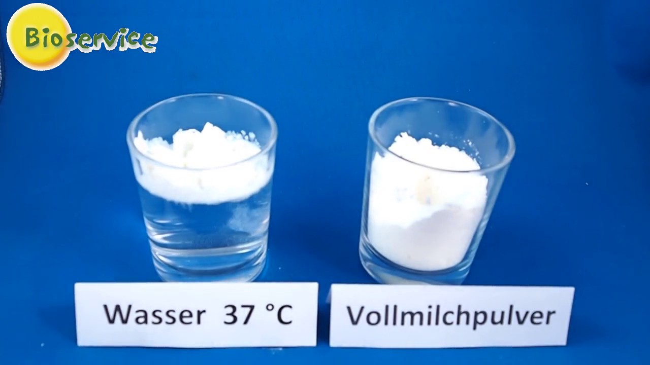 BIO-Vollmilchpulver 30.001