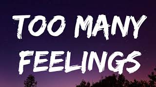Ruel - TOO MANY FEELINGS (Lyrics)