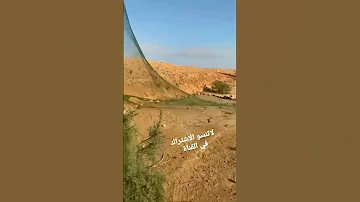 صيد الشحيم Shorts السعودية السمان الفري القمري ترند السعودية بدو مصر كشتات ليبيا 