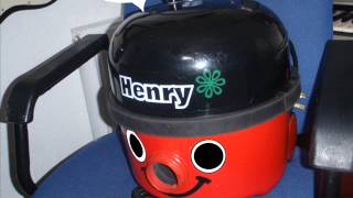 HENRYS LOOKING FOR HETTY