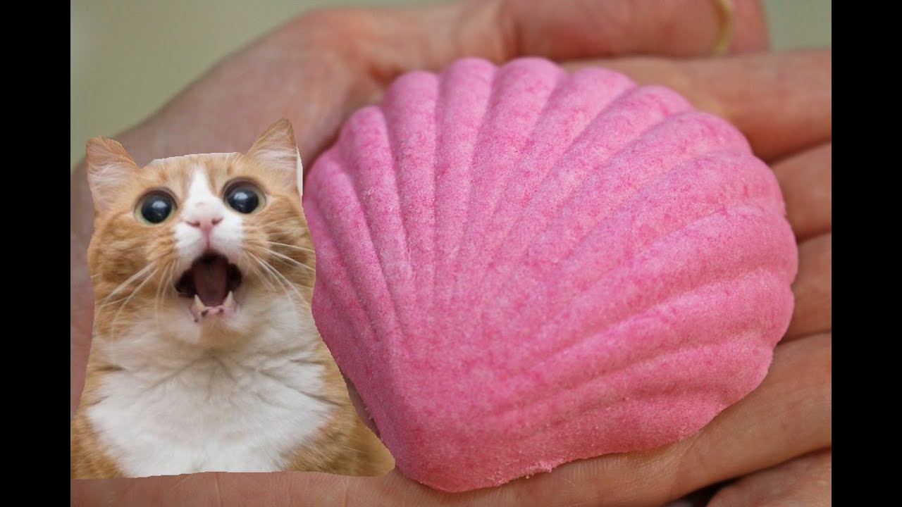 DOLLAR TREE Rose Seashell BATH Fizzers DEMO + Review Underwater View YouTube