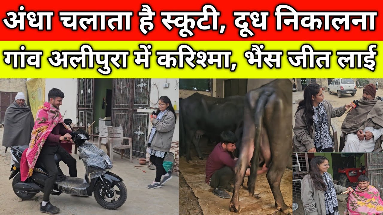 अंधा चलाता है स्कूटी, दूध निकालना, गांव अलीपुरा में बड़ा करिश्मा, भैंस जीत लाई स्कूटी, गांव अलीपुरा 