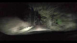 Night driving - Midnight in the Woods