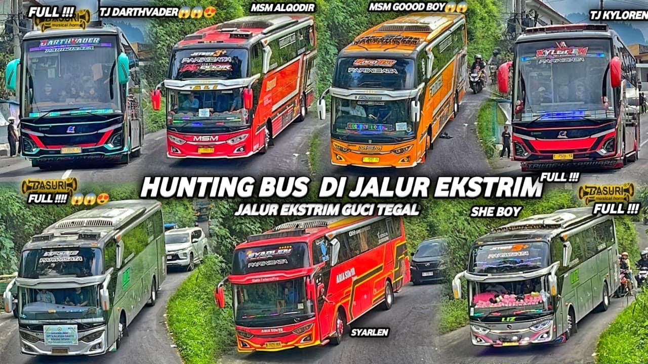 FULL TELOLET BASURI !! HUNTING BUS DI JALUR WISATA GUCI TEGAL || FULL BUS ARTIS