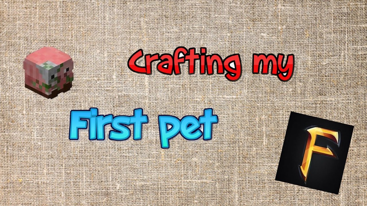 Making first pet in fakepixel skyblock Crack hypixel skyblock YouTube