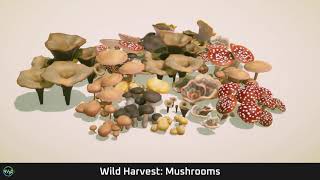 Wild Harvest: Mushrooms (Unity)