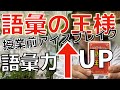 【多様な特性の子達−子育ての工夫】語彙力高まるおすすめカードゲーム！~子ども達の多様な特性に工夫を発達障害・不登校・HSP・グレーゾーン~