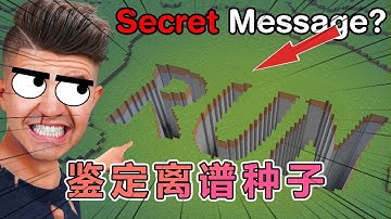 我的世界：Preston老哥鉴定网络奇葩种子 #我的世界#minecraft