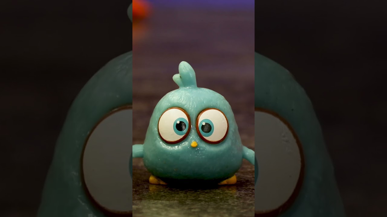 Hatchling Mania! 🤍💙💛🩷