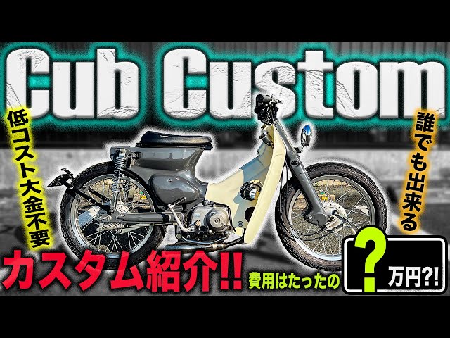 Custom Introduction] Super Cub & Little Cub can be transformed