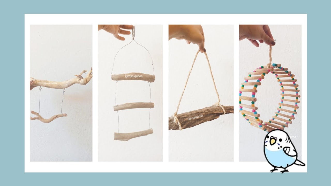 4 juguetes fáciles de hacer Periquitos Australianos YouTube