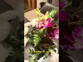 Not just flowers…🌿🌷its a whole mood, Thank you for watching🙏