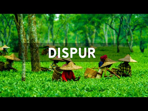 Top 10 Places To Visit In Dispur - Travel Video | Scoop Buddy