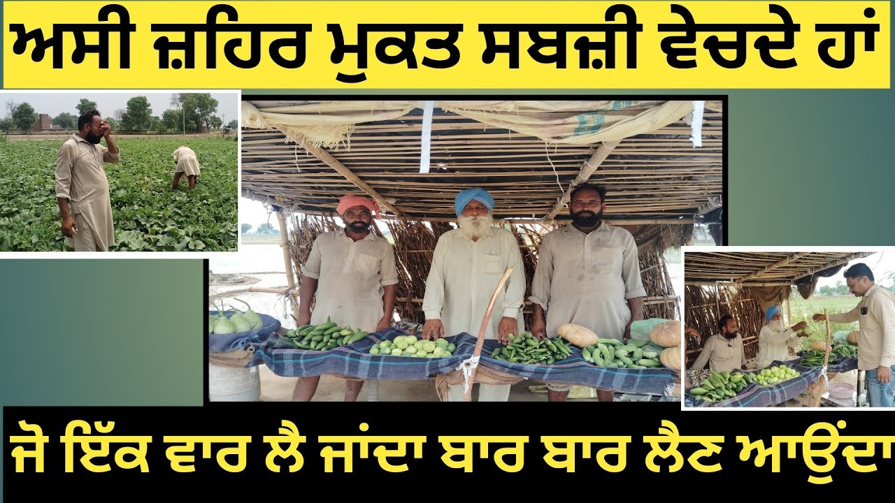 ਅਸੀ ਜ਼ਹਿਰ ਮੁਕਤ ਸਬਜ਼ੀ ਵੇਚਦੇ ਹਾਂ ਜੋ ਇੱਕ ਵਾਰ ਲੈ ਜਾਂਦਾ ਬਾਰ ਬਾਰ ਲੈਣ ਆਉਂਦਾ #organicfarming