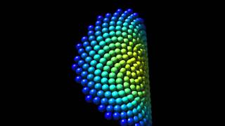 Phylotactic Pattern
