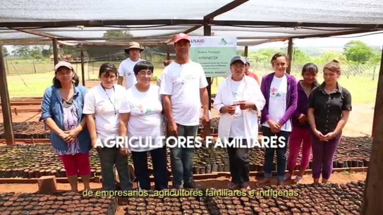 Experiencias del Programa Reforestemos el Monday camera iphone 8 plus apk