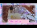 نغمات العيد