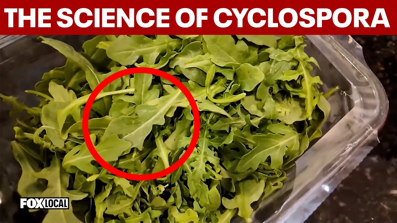 Challenges in Detecting Cyclospora in Food Samples
