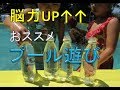 運動保育士おススメ!!脳力UP!!プール遊び♪【運動遊び解説】【#07】運動保育士会/柳沢運動プログラム