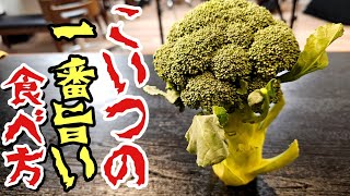 Grilled food (oven-roasted broccoli) | Transcript of recipe by culinary expert Ryuji&#39;s Buzz Recipe