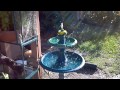 Mama's fountain, newly refurbished. Thanks to the Beebe's for the beginnings...