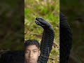 Cobra Commando vs. Real Cobra Snake 🔥💀