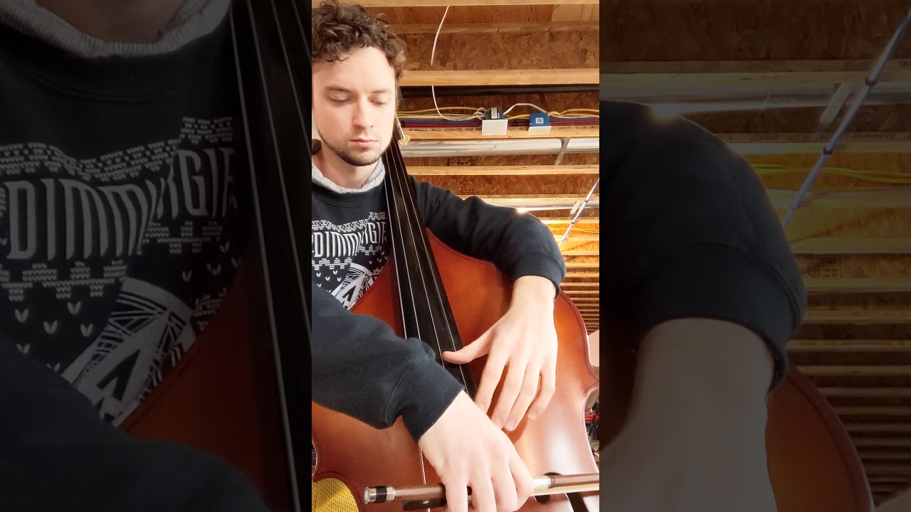 Natural Harmonic Vibrato demonstration Contrabass YouTube