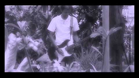 Daun/Sayap/Sayap Laki/Sayyap - Kau.avi