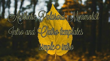 Aesthetic Polaroid Minimalist Intro and Outro  templates|No text|free to download|simple Intros