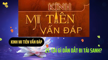 21. Cái gì dẫn dắt đi Tái Sanh | Kinh Mi Tiên Vấn Đáp