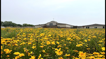 Third Sunday of Advent | December 17, 2023