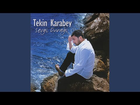 Ahmet Abi