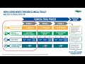 Phases of experimental clinical trials
