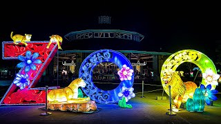 Our Night at Glow Wild Brookfield Zoo 🏮 Family Lantern Festival Vlog