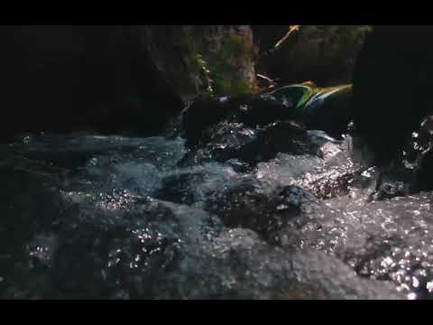 أنت تريد وأنا أريد