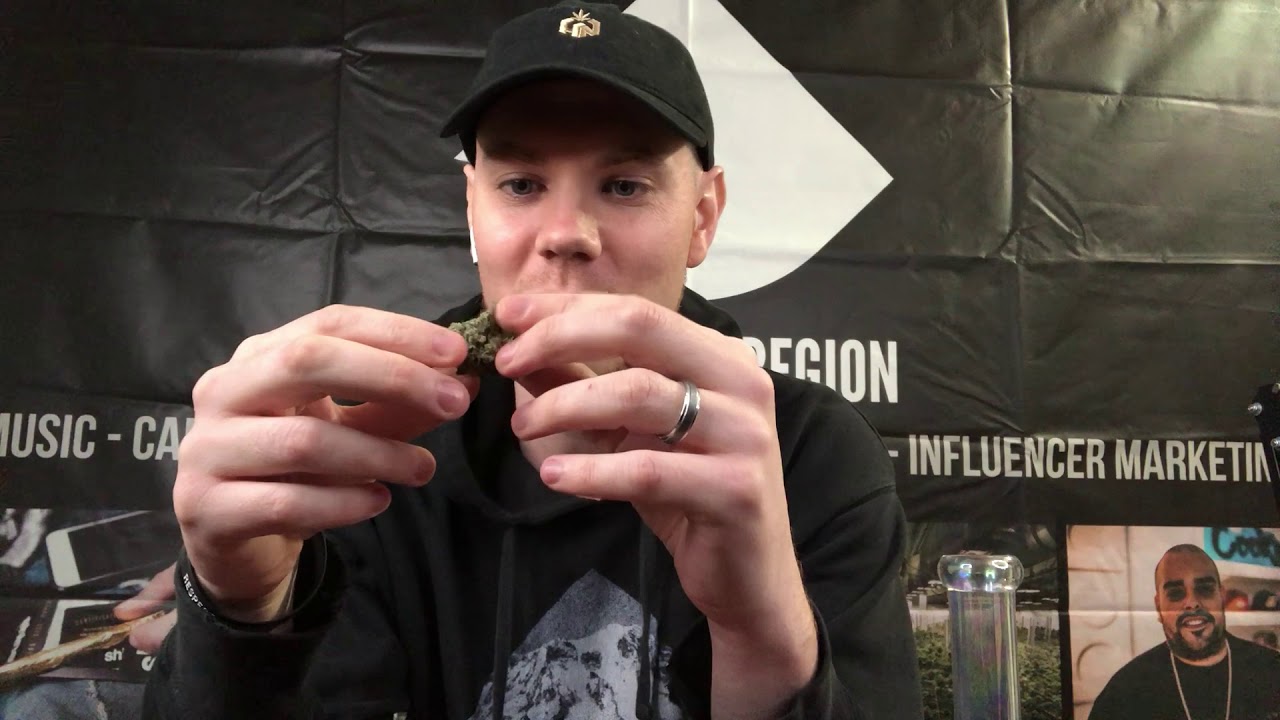 The Jazz Strain Review With The Healing Component and Mick Jenkins (Dank Sinatra) in Spokane, WA.