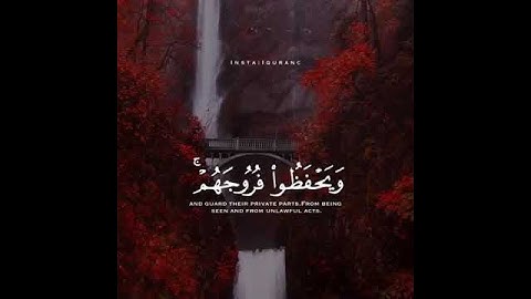 قُل لِّلْمُؤْمِنِينَ يَغُضُّوا مِنْ أَبْصَارِهِمْ - آيات من - (سورة النور) - القارئ ماهر المعيقلي
