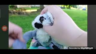 Scene For Lee The Lemur Tells Pitch Black To Cut That Out For Strongdrew941