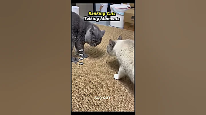 Video 11780601: cats talking funnycats, funnycats usa cat, funny cat talking, funny cats uk